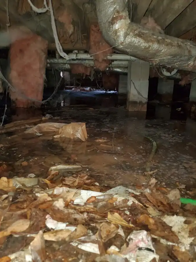 Crawl space flood assessment for Leak Detection & Repair in Fort Wayne