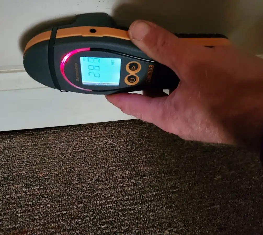 Moisture detection at baseboard during Sewage Cleanup & Sanitation in Fort Wayne